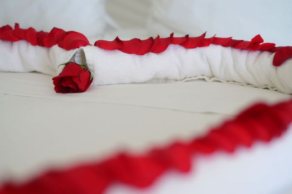 Dolphin Cove Inn (Manzanillo)